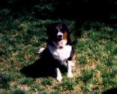 Casey