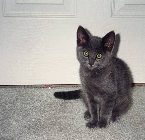 Mikah